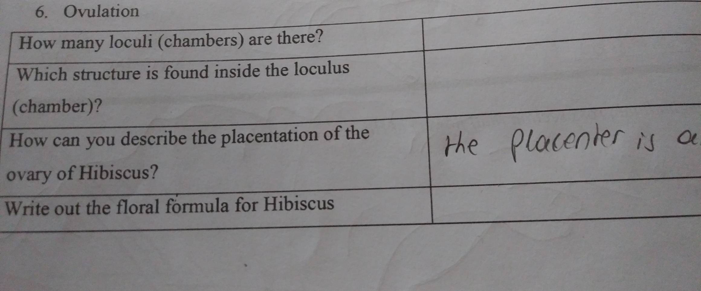 Ovulation 
o 
W