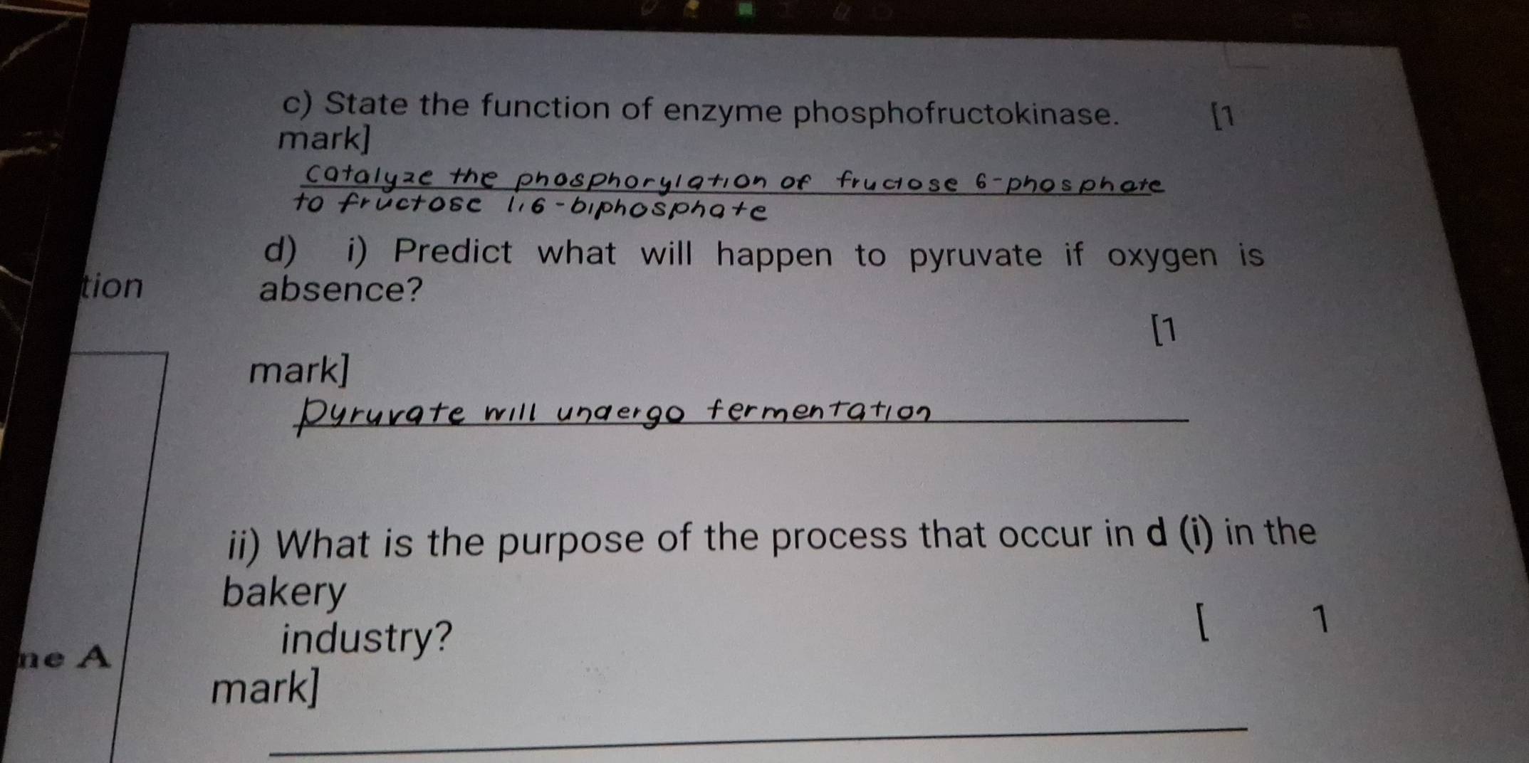 State the function of enzyme phosphofructokinase. 
mark] 
_se 6 -phosphate 
to 
ctose l16-biphosphate 
d) i) Predict what will happen to pyruvate if oxygen is 
tion absence? 
[1 
mark] 
_ferme 
ii) What is the purpose of the process that occur in d (i) in the 
bakery 
ne A 
industry? 
 1 
_ 
mark]