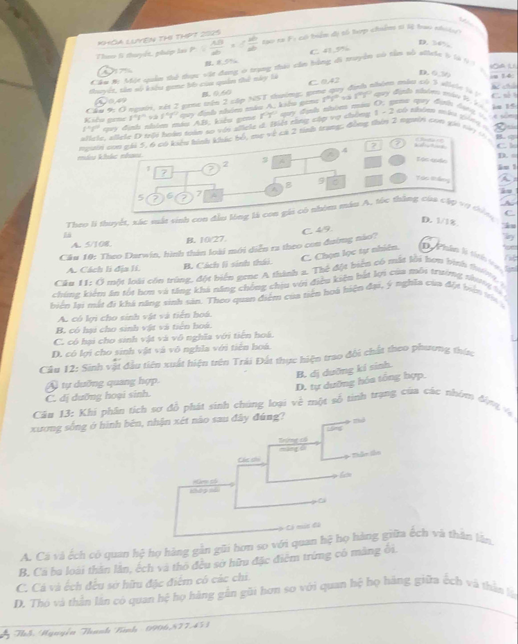 KHÔA LUYEN THI THPT 2925
Theo S thuyết, phép las P  AB/ab = yb/ab  too ra F: có biển dị số tợp chiẩm sĩ lệ bao nhiều
D. 30%
417% B. 8.5% C. 41,5%
Cậu B: Một quân thể thực vật đang ở trụng thic cần bằng đi muyền có tần số sihic & (0 97 y
D. 030
C 042
thuyết, tên số kiêu gane bố của quân thể này là im 14:
Dom B. 0.60 Tể chin
Cầu 9: Ở người, xét 2 gaac trên 2 cáp NST tường, guoc quy định nhóm mâu có 3 siclc là / C. số h
Kiêu gene f^(th) 1107^0 quy định nhóm máa A, kiêu goac 1º1º và 1Tº quy định nhóm máo 9, V4 àn 15
f°f qy định nán cáu AB; kiểu gene IY quy định nhóm máu O, gana quy định dạng  t  é sắng
slicle, silele D trội hoán toán so với sliele d. Biệt cũng cập vụ chẳng 1 - 2 có nhóm mán góng g
ngưin con gái 5, 6 có kêu hình khác bố, mẹ về cá 2 tính trang: đòng thin 2 người con gia ny 0
B. C
2 2 thae
C h
4
3
2 
Tác cáo D. a
1 ?
in 1
9
A 8 C
Táo tháng As
5 2 6 2 7 
A
Theo li thuyết, xác suất sinh con đầu lóng là con gii có nhóm mán A. tốc thắng của cập vụ tứng C
D. 1/1.
C. 4/9.
A. 5/108. B. 10/27
Cầu 10: Theo Darwin, hình thản loài mới diễn ra theo con đường nào?
A. Cách lí địa lí. B. Cách lì sinh thái.
C. Chọn lọc tự nhiên. D. Phâm là tih trại
Cầu 11: Ở một loài còn trùng, đột biển gene A thành a. Thế đột biển có mắt lồi hơn bình t  t
chúng kiểm ăn tốt hơn và tăng khá năng chống chịu với điều kiện bắt lợi của môi trường thư n   t 
biển lại mắt đi khá năng sinh sản. Theo quan điểm của tiểu boà hiện đại, ý nghĩa của đột biện t 
A. có lợi cho sinh vật và tiến hoá.
B. có hại cho sinh vật và tiến hoá.
C. có hại cho sinh vật và vô nghĩa với tiến hoá.
D. có lợi cho sinh vật và vô nghĩa với tiến hoá.
Câu 12: Sinh vật đầu tiên xuất hiện trên Trái Đất thực hiện trao đôi chất theo phương thức
B. dị duỡng kí sinh.
A tự dưỡng quang hợp.
D. tự dưỡng hóa tổng hợp.
C. dị dưỡng hoại sinh.
Câu 13: Khi phần tích sơ đồ phát sinh chúng loại về một số tinh trạng của các nhóm đượ 
xương sống ở hình bén, 
A. Cá và ếch có quan hệ họ hàng gần gũi hơn so với quan h ếch và thăn lân.
B. Cá ba loài thăn lăn, ếch và thỏ đều sở hữu đặc điểm trứng có màng ối.
C. Cá và ếch đều sở hữu đặc điểm có các chi.
D. Thó và thần lần có quan hệ họ hàng gần gũi bơn so với quan hệ họ hàng giữa ếch và thần l
a  TS Hguyễn Thanh Tình - 0994877,451