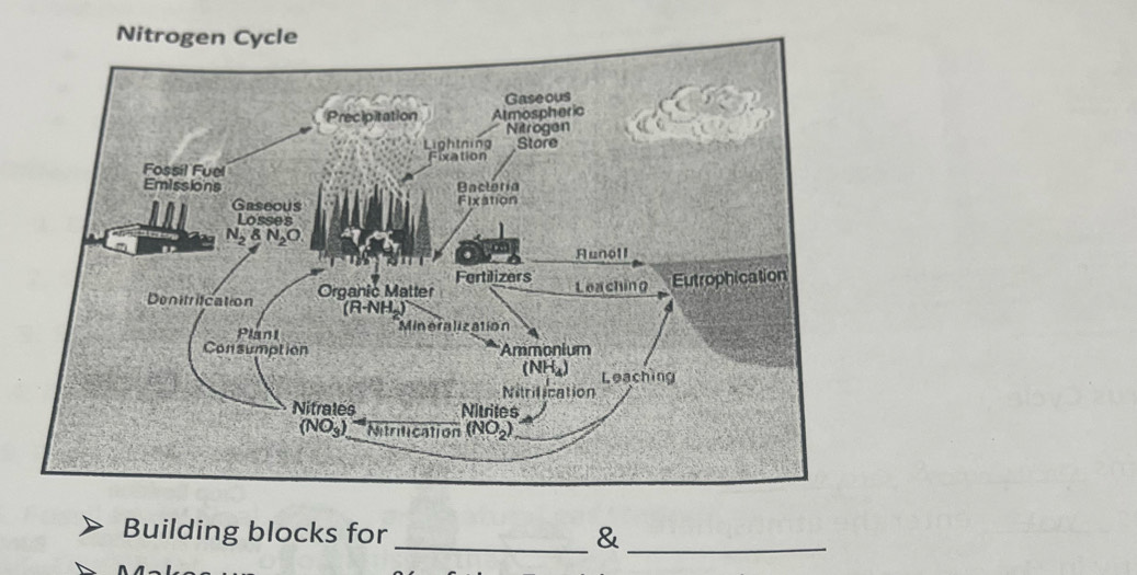 Building blocks for _&
_