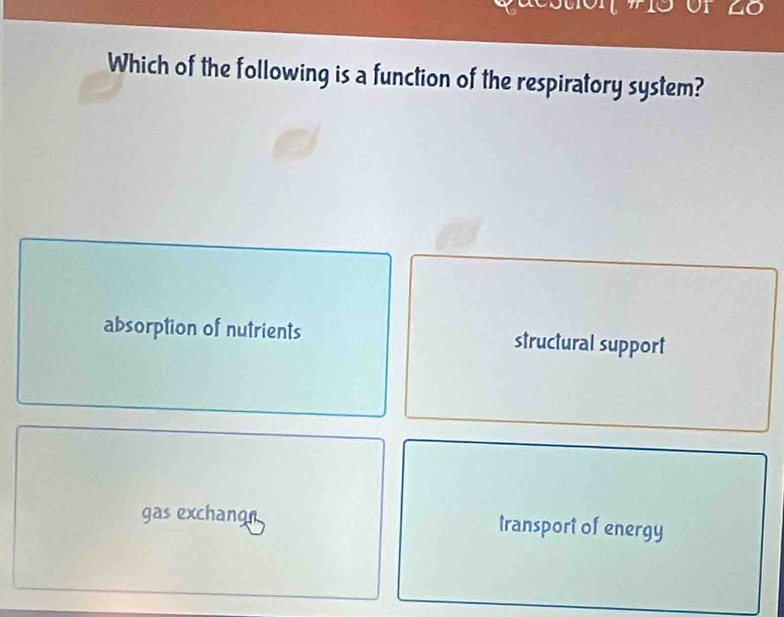 of 4o
Which of the following is a function of the respiratory system?
absorption of nutrients structural support
gas exchangn transport of energy