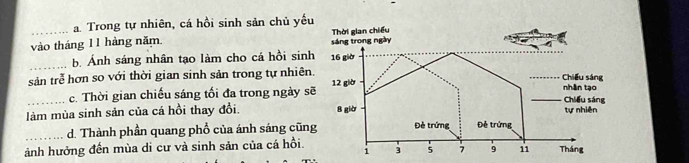 Trong tự nhiên, cá hồi sinh sản chủ yế 
vào tháng 11 hàng năm. 
_b. Ánh sáng nhân tạo làm cho cá hồi sin 
sản trễ hơn so với thời gian sinh sản trong tự nhiên 
_c. Thời gian chiếu sáng tối đa trong ngày s 
làm mùa sinh sản của cá hồi thay đổi. 
_d. Thành phần quang phổ của ánh sáng cũn 
ảnh hưởng đến mùa di cư và sinh sản của cá hồi.