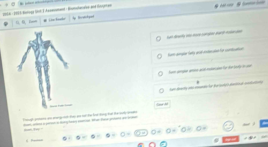 2024 - 2025 Biology Unil 2 Assessment - Biomolecules and Enxymes 

Q, Q,Zum Line Reader 
S G y 
f orm smpler tay anid montarides her comatios. 
dun deanty io meann o 9 e 509 f o daror d c d 
Ghat kế 
Though prateins are etergy tioh they are not the feat thing that the borty treahs 
down, uless a perssn is doingtway exesse. XPet Sase peuans an Inshet 
Coas, Tey ' 
6 Presious