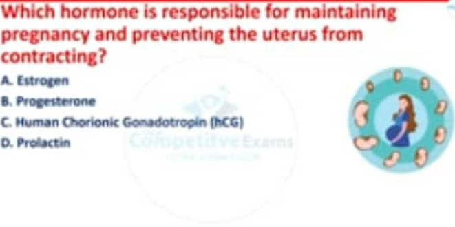 Which hormone is responsible for maintaining
pregnancy and preventing the uterus from
contracting?
A. Estrogen
B. Progesterone
C. Human Chorionic Gonadotropin (hCG)
D. Prolactin