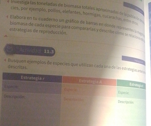 Investiga las toneladas de biomasa totales aproximadas de la población de l 
cies, por ejemplo, pollos, elefantes, hormigas, cucarachas, entre otros 
Elabora en tu cuaderno un gráfico de barras en donde representes la mag 
estrategias de reproducción. 
biomasa de cada especie para compararlas y describe cómo se relaciona est pe 
Actividad 11.3 
Indagacian 
* Busquen ejemplos de especies que utilizan cada una de las estrategias 
descritas.