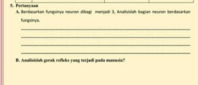 Pertanyaan 
A. Berdasarkan fungsinya neuron dibagi menjadi 3, Analisislah bagian neuron berdasarkan 
fungsinya. 
_ 
_ 
_ 
_ 
B. Analisislah gerak refleks yang terjadi pada manusia?