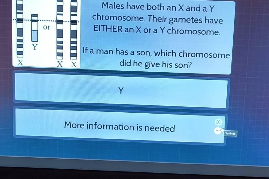 Males have both an X and a Y
chromosome. Their gametes have 
EITHER an X or a Y chromosome. 
f a man has a son, which chromosome 
did he give his son?
Y
More information is needed Settings