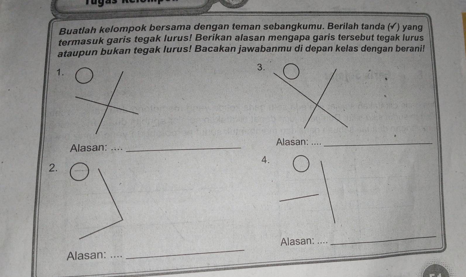 rug 
Buatlah kelompok bersama dengan teman sebangkumu. Berilah tanda (√) yang 
termasuk garis tegak lurus! Berikan alasan mengapa garis tersebut tegak lurus 
ataupun bukan tegak lurus! Bacakan jawabanmu di depan kelas dengan berani! 
1. 
3. 
Alasan:_ 
Alasan: .._ 
4. 
2. 
_ 
Alasan: . 
_ 
Alasan: 
_