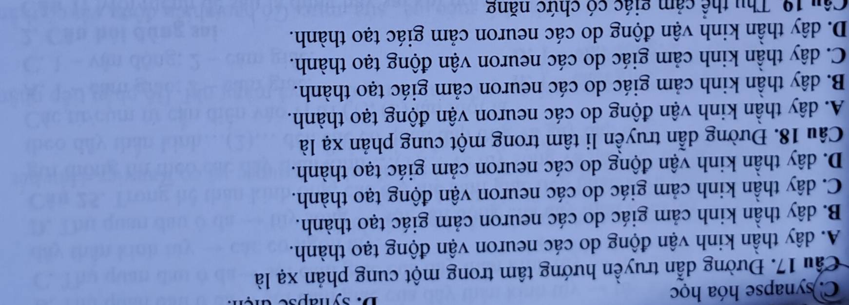 C. synapse hóa học D. synapse d e
Cầu 17. Đường dẫn truyền hướng tâm trong một cung phản xạ là
A. dây thần kinh vận động do các neuron vận động tạo thành.
B. dây thần kinh cảm giác do các neuron cảm giác tạo thành.
C. dây thần kinh cảm giác do các neuron vận động tạo thành.
D. dây thần kinh vận động do các neuron cảm giác tạo thành.
Câu 18. Đường dẫn truyền li tâm trong một cung phản xạ là
A. dây thần kinh vận động do các neuron vận động tạo thành.
B. dây thần kinh cảm giác do các neuron cảm giác tạo thành.
C. dây thần kinh cảm giác do các neuron vận động tạo thành.
D. dây thần kinh vận động do các neuron cảm giác tạo thành.
Câu 19. Thu thể cảm giác có chức năng