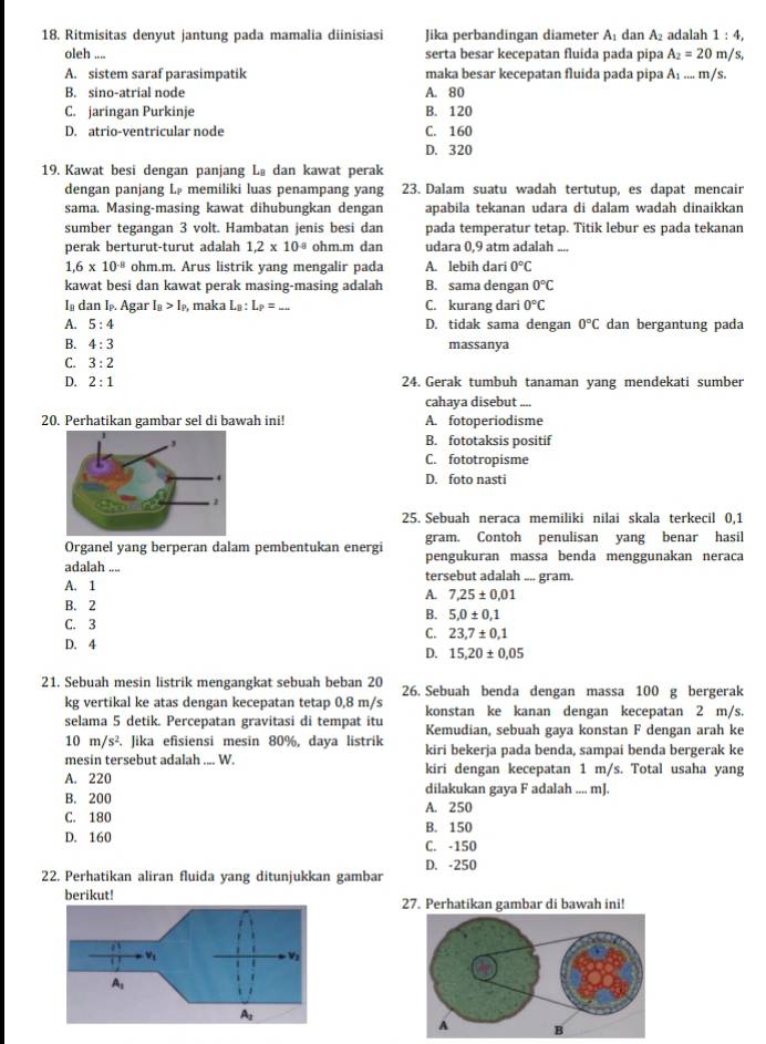 Ritmisitas denyut jantung pada mamalia diinisiasi Jika perbandingan diameter A₁ dan A_2 adalah 1:4,
oleh .... serta besar kecepatan fluida pada pipa A_2=20m/s,
A. sistem saraf parasimpatik maka besar kecepatan fluida pada pipa A_1...m/s.
B. sino-atrial node A. 80
C. jaringan Purkinje B. 120
D. atrio-ventricular node C. 160
D. 320
19. Kawat besi dengan panjang L₈ dan kawat perak
dengan panjang Lø memiliki luas penampang yang 23. Dalam suatu wadah tertutup, es dapat mencair
sama. Masing-masing kawat dihubungkan dengan apabila tekanan udara di dalam wadah dinaikkan
sumber tegangan 3 volt. Hambatan jenis besi dan pada temperatur tetap. Titik lebur es pada tekanan
perak berturut-turut adalah 1,2* 10^(-8) ohm.m dan udara 0,9 atm adalah_
1.6* 10^(-8) ohm.m. Arus listrik yang mengalir pada A. lebih dari 0°C
kawat besi dan kawat perak masing-masing adalah B. sama dengan 0°C
I⊥ dan I. Agar I_B>I_P , maka L_B:L_P= _ C. kurang dari 0°C
A. 5:4 D. tidak sama dengan 0°C dan bergantung pada
B. 4:3 massanya
C. 3:2
D. 2:1 24. Gerak tumbuh tanaman yang mendekati sumber
cahaya disebut ._
20. Perhatikan gambar sel di bawah ini! A. fotoperiodisme
B. fototaksis positif
C. fototropisme
D. foto nasti
25. Sebuah neraca memiliki nilai skala terkecil 0,1
gram. Contoh penulisan yang benar hasil
Organel yang berperan dalam pembentukan energi pengukuran massa benda menggunakan neraca
adalah .... tersebut adalah .... gram.
A. 1
A. 7,25± 0,01
B. 2
B. 5,0± 0,1
C. 3
C. 23,7± 0,1
D. 4
D. 15,20± 0.05
21. Sebuah mesin listrik mengangkat sebuah beban 20 26. Sebuah benda dengan massa 100 g bergerak
kg vertikal ke atas dengan kecepatan tetap 0,8 m/s konstan ke kanan dengan kecepatan 2 m/s.
selama 5 detik. Percepatan gravitasi di tempat itu Kemudian, sebuah gaya konstan F dengan arah ke
10m/s^2 3. Jika efisiensi mesin 80%, daya listrik
mesin tersebut adalah .... W. kiri bekerja pada benda, sampai benda bergerak ke
A. 220 kiri dengan kecepatan 1 m/s. Total usaha yang
B. 200 dilakukan gaya F adalah .... mJ.
C. 180 A. 250
B. 150
D. 160 C. -150
D. -250
22. Perhatikan aliran fluida yang ditunjukkan gambar
berikut! 27. Perhatikan gambar di bawah ini!