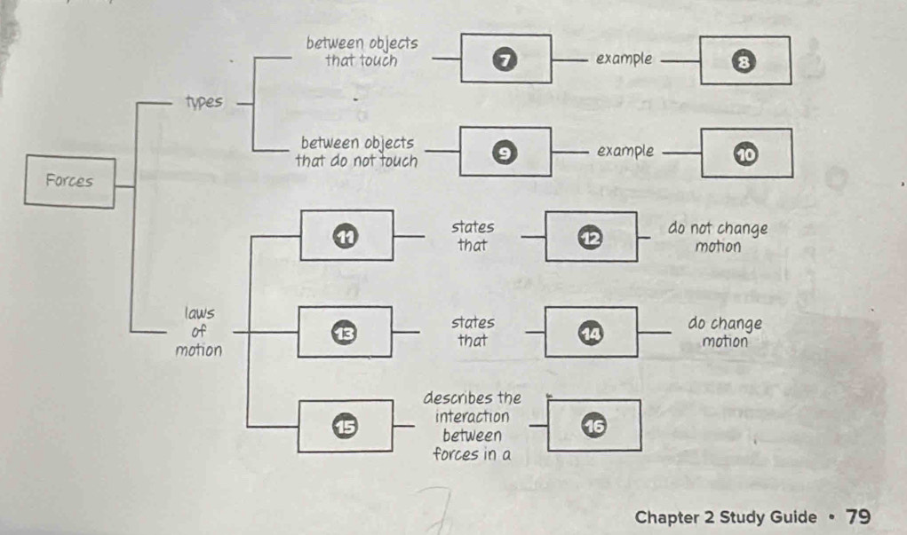 Chapter 2 Study Guide • 79