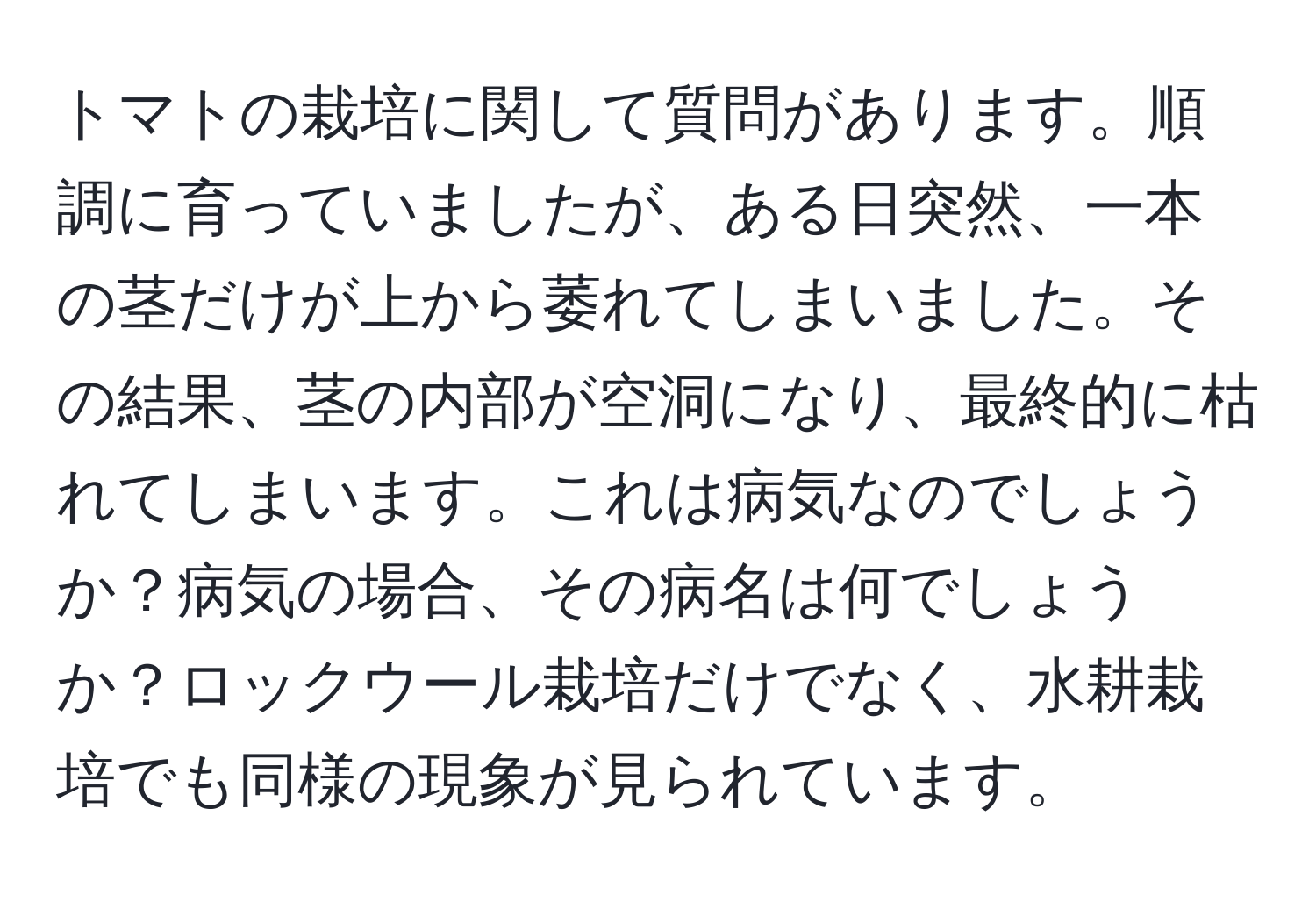 トマトの栽培に関して質問があります。順調に育っていましたが、ある日突然、一本の茎だけが上から萎れてしまいました。その結果、茎の内部が空洞になり、最終的に枯れてしまいます。これは病気なのでしょうか？病気の場合、その病名は何でしょうか？ロックウール栽培だけでなく、水耕栽培でも同様の現象が見られています。