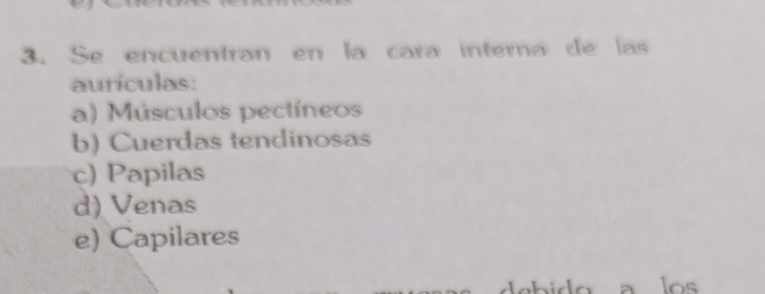 Se encuentran en la cara interna de las
aurículas:
a) Músculos pectíneos
b) Cuerdas tendinosas
c) Papilas
d) Venas
e) Capilares