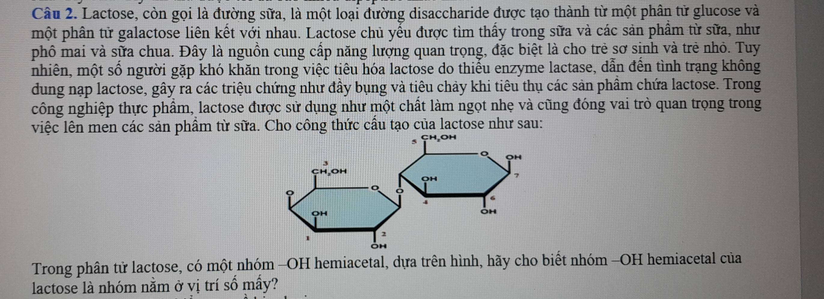 Lactose, còn gọi là đường sữa, là một loại đường disaccharide được tạo thành từ một phân tử glucose và 
một phân tử galactose liên kết với nhau. Lactose chủ yếu được tìm thấy trong sữa và các sản phầm từ sữa, như 
phồ mai và sữa chua. Đây là nguồn cung cấp năng lượng quan trọng, đặc biệt là cho trẻ sơ sịnh và trẻ nhỏ. Tuy 
nhiên, một số người gặp khó khăn trong việc tiêu hóa lactose do thiếu enzyme lactase, dẫn đến tình trạng không 
dung nạp lactose, gây ra các triệu chứng như đầy bụng và tiêu chảy khi tiêu thụ các sản phầm chứa lactose. Trong 
công nghiệp thực phẩm, lactose được sử dụng như một chất làm ngọt nhẹ và cũng đóng vai trò quan trọng trong 
việc lên men các sản phẩm từ sữa. Cho công thức cấu tạo của lactose như sau: 
5 CH₂OH

H₃OH
OH
7
o 
OH 
Oh 
1 
Trong phân tử lactose, có một nhóm -OH hemiacetal, dựa trên hình, hãy cho biết nhóm −OH hemiacetal của 
lactose là nhóm nằm ở vị trí số mấy?