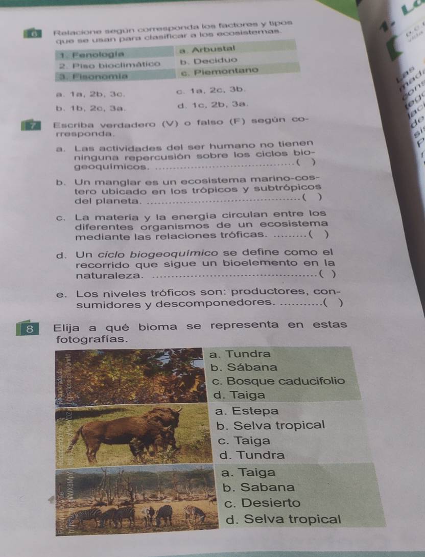 Relacione según corresponda los factores y tipos

que se usan para clasificar a los ecosistemas. 1 
1. Fenología a. Arbustal
2. Piso bioclimático b. Deciduo
3. Fisonomia c. Piemontano
was
a. 1a, 2b, 3c. c. 1a, 2c, 3b.
had
son
b. 1b, 2c, 3a. d. 1c, 2b, 3a.
eg
ac
Escriba verdadero (V) o falso (F) según co-
d o 
rresponda. si
a. Las actividades del ser humano no tienen
P
ninguna repercusión sobre los ciclos bio-
_( )
geoquímicos.
b. Un manglar es un ecosistema marino-cos-
tero ubicado en los trópicos y subtrópicos
del planeta.
_( )
c. La materia y la energía circulan entre los
diferentes organismos de un ecosistema
mediante las relaciones tróficas. .........( )
d. Un ciclo biogeoquímico se define como el
recorrido que sigue un bioelemento en la
naturaleza. _( )
e. Los niveles tróficos son: productores, con-
sumidores y descomponedores. _……( )
8 Elija a qué bioma se representa en estas
fotografías.
a. Tundra
b. Sábana
c. Bosque caducifolio
d. Taiga
a. Estepa
b. Selva tropical
c. Taiga
d. Tundra
a. Taiga
b. Sabana
c. Desierto
d. Selva tropical