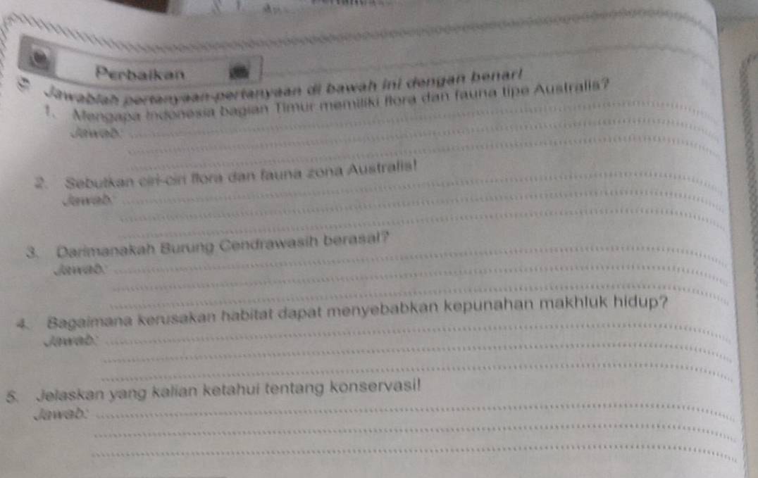 Perbaikan 
Jawabiah pertanyəan-pertanyaan di bawah ini dengan þenarl 
__ 
1. Mengapa Indonesia bagian Timur memiliki flora dan fauna tipe Australls? 
Jawab_ 
_ 
2. Sebutkan ciri-cir flora dan fauna zona Australis! 
_ 
Jawab 
_ 
3. Darimanakah Burung Cendrawasih berasal? 
_ 
Jawab 
_ 
4. Bagaimana kerusakan habitat dapat menyebabkan kepunahan makhluk hidup? 
Jawab:_ 
_ 
_ 
5. Jelaskan yang kalian ketahui tentang konservasi! 
_ 
Jawab: 
_