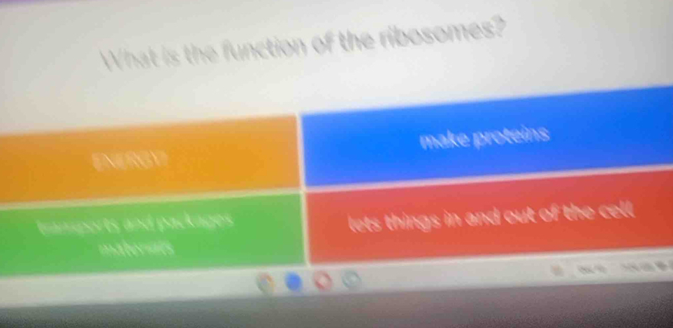 What is the function of the ribosomes?
ENERGY make proteins
bamports and packages
lets things in and out of the cell 
matersits