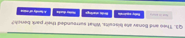 Theo and Bonav ate biscuits. What surrounded their park bench?
Not in story Baby squirrels Birds; starlings Noisy ducks A family of mice