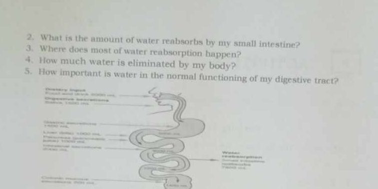 What is the amount of water reabsorbs by my small intestine? 
3. Where does most of water reabsorption happen? 
4. How much water is eliminated by my body? 
5. How important is water in the normal functioning of my digestive tract? 
Chalkry iged 
Fos and 14 100e=
Crgeanve secretiona 
C e e 

m 




== =

2 m