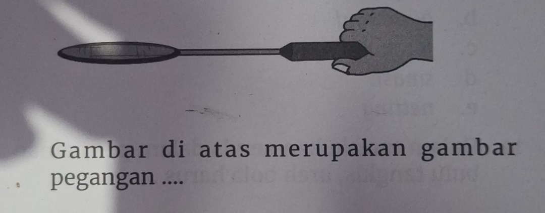 Gambar di atas merupakan gambar 
pegangan ....