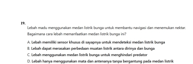 Lebah madu menggunakan medan listrik bunga untuk membantu navigasi dan menemukan nektar.
Bagaimana cara lebah memanfaatkan medan listrik bunga ini?
A. Lebah memiliki sensor khusus di sayapnya untuk mendeteksi medan listrik bunga
B. Lebah dapat merasakan perbedaan muatan listrik antara dirinya dan bunga
C. Lebah menggunakan medan listrik bunga untuk menghindari predator
D. Lebah hanya menggunakan mata dan antenanya tanpa bergantung pada medan listrik