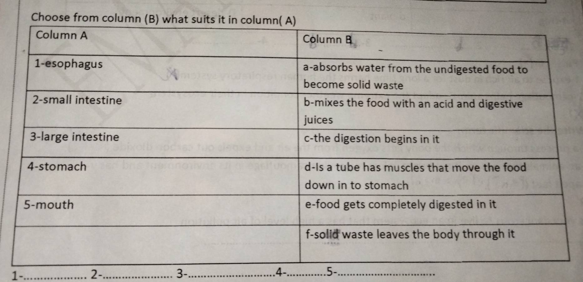 Choose from column 
1-_ __.4-_ .5-_ 
2- 
3-