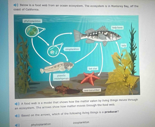 Solved: Below is a food web from an ocean ecosystem. The ecosystem is ...