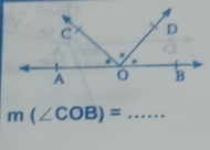 m(∠ COB)=