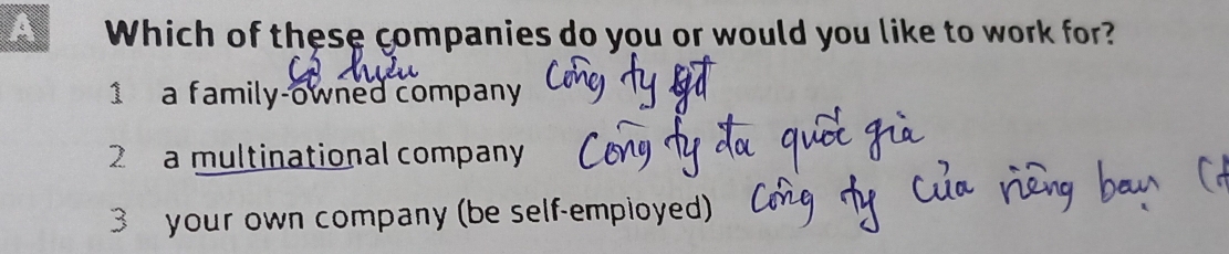 A Which of these companies do you or would you like to work for?
1 a family-owned company
2 a multinational company
3 your own company (be self-empioyed)