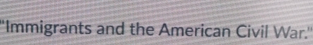 ''Immigrants and the American Civil War.''