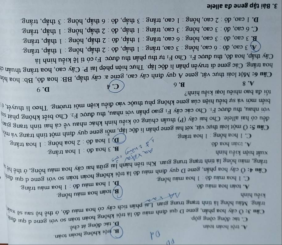 B. trội không hoàn toàn
A. trội hoàn toàn
D. tác động át chế
C. tác động cộng gộp
Câu 3: Ở cây hoa phần, gene D qui định màu đỏ là trội không hoàn toàn so với gene d qui định
trăng. Màu hồng là tính trang trung gian. Lai phân tích cây có hoa màu đỏ, ở thế hệ sau sẽ xuấ
kiểu hình
Bộ toàn hoa màu hồng
A. toàn hoa màu đỏ
C. 1 hoa màu đỏ : 1 hoa màu hồng. D. 1 hoa màu đỏ : 1 hoa màu trắng.
Câu 4: Ở cấy hoa phần, gene D quy định màu đỏ là trội không hoàn toàn so với gene d qui định
trắng, màu hồng là tính trang trung gian. Khi tiến hành lai giữa hai cây hoa màu hồng, ở thế hện
xuất hiện kiểu hình
B. 3 hoa đỏ : 1 hoa trắng.
A. toàn hoa đỏ
C. 1 hoa hồng : 1 hoa trắng. Dộ 1 hoa đỏ : 2 hoa hồng : 1 hoa trắng
Câu 5: Ở một loài thực vật, xét hai gene phân li độc lập, mỗi gene quy định một tính trạng và mỗt
đều có hai allele. Cho hai cây (P) thuần chủng có kiểu hình khác nhau về cả hai tính trang giao
với nhau, thu được F_1 Cho các cây F_1 giao phần với nhau, thu được F_2 :. Cho biết không phát sin
biển mới và sự biểu hiện của gene không phụ thuộc vào điều kiện môi trường. Theo lí thuyết, ở
ối đa bao nhiêu loại kiều hình?
A. 8 B. 6 C. A D. 9
Câu 6: Một loài thực vật, gene A quy định cây cao, gene a: cây thấp, BB: hoa đỏ, Bb: hoa hồn
hoa trắng. Các gene di truyền phân li độc lập. Thực hiện phép lai P: Cây cao, hoa trắng thuần c
Cây thấp, hoa đỏ, thu được F_1. Cho F_1 tự thụ phần thu được F_2 có tỉ lệ kiểu hình là
A 3 cao, đỏ : 6 cao, hồng : 3 cao, trắng : 1 thấp, đỏ : 2 thấp, hồng : 1 thấp, trắng.
B. 3 cao, đỏ : 3 cao, hồng : 6 cao, trắng : 1 thấp, đỏ : 2 thấp, hồng : 1 thấp, trắng.
C. 6 cao, đỏ : 3 cao, hồng : 3 cao, trắng : 1 thấp, đỏ : 2 thấp, hồng : 1 thấp, trắng.
D. 1 cao, đỏ : 2 cao, hồng : 1 cao, trắng : 3 thấp, đỏ : 6 thấp, hồng : 3 thấp, trắng.
3. Bài tập gene đa allele