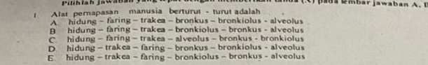 Pilihlah jaw a B M pada mbar jawaban A. B
Alat pernapasan manusia berturut - turut adalah
A. hidung - faring - trakea - bronkus - bronkiolus - alveolus
B hidung - faring - trakea - bronkiolus - bronkus - alveolus
C. hidung - faring - trakea- alveolus - bronkus - bronkiolus
D. hidung - trakea - faring — bronkus - bronkiolus - alveolus
E hidung - trakea - faring - bronkiolus - bronkus - alveolus