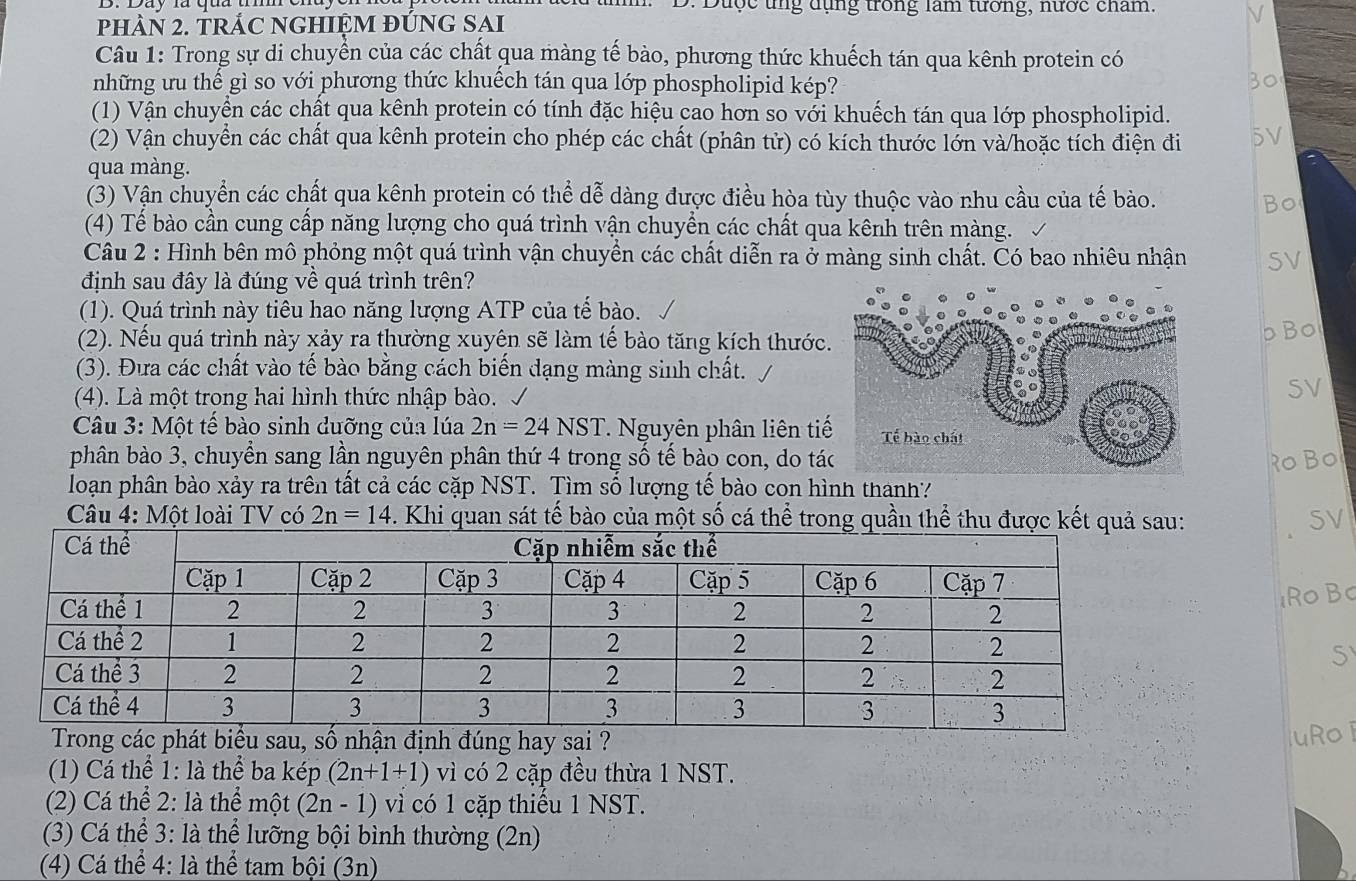 Dược tng dụng trong lam tương, nước chẩm.
phÀN 2. trÁC nGHIỆM đÚnG SẠi
Câu 1: Trong sự di chuyển của các chất qua màng tế bào, phương thức khuếch tán qua kênh protein có
những ưu thế gì so với phương thức khuếch tán qua lớp phospholipid kép?
(1) Vận chuyển các chất qua kênh protein có tính đặc hiệu cao hơn so với khuếch tán qua lớp phospholipid.
(2) Vận chuyển các chất qua kênh protein cho phép các chất (phân tử) có kích thước lớn và/hoặc tích điện đi
qua màng.
(3) Vận chuyển các chất qua kênh protein có thể dễ dàng được điều hòa tùy thuộc vào nhu cầu của tế bào.
(4) Tế bào cần cung cấp năng lượng cho quá trình vận chuyển các chất qua kênh trên màng.
Câu 2 : Hình bên mô phỏng một quá trình vận chuyền các chất diễn ra ở màng sinh chất. Có bao nhiêu nhận
định sau đây là đúng về quá trình trên?
(1). Quá trình này tiêu hao năng lượng ATP của tế bào.
(2). Nếu quá trình này xảy ra thường xuyên sẽ làm tế bào tăng kích thước.
(3). Đưa các chất vào tế bào bằng cách biến dạng màng sinh chất.
(4). Là một trong hai hình thức nhập bào.
Câu 3: Một tế bào sinh dưỡng của lúa 2n=24NST * Nguyên phân liên tiế
phân bào 3, chuyển sang lần nguyên phân thứ 4 trong số tế bào con, do tá
२० B०
loạn phân bào xảy ra trên tất cả các cặp NST. Tìm số lượng tế bào con hình thanh?
Câu 4: Một loài TV có 2n=14 5. Khi quan sát tế bào của một số cá thể trong quần thể thu được kết quả sau: 5V
1R0 B0
5
đúg hay sai ?
uRo ī
(1) Cá thể 1: là thể ba kép (2n+1+1) vì có 2 cặp đều thừa 1 NST.
(2) Cá thể 2: là thể một (2n-1) vì có 1 cặp thiếu 1 NST.
(3) Cá thể 3: là thể lưỡng bội bình thường (2n)
(4) Cá thể 4: là thể tam bội (3n)