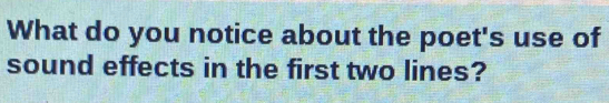 What do you notice about the poet's use of 
sound effects in the first two lines?