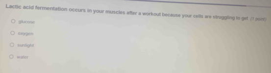 Lactic acid fermentation occurs in your muscles after a workout because your cells are struggling to get (1 point)
glucose
oxygen
sunlight
water