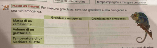 massa di una panchina tempo impiegato a mangiare un panino 
faccio un esEmpio Per ciascuna grandezza, scrivi una grandezza a essa omogenea e 
una non omogenea.