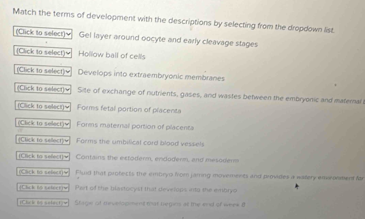 Match the terms of development with the descriptions by selecting from the dropdown list. 
(Click to select) Gel layer around oocyte and early cleavage stages 
(Click to select)≌ Hollow ball of cells 
(Click to select) Develops into extraembryonic membranes 
(Click to select) Site of exchange of nutrients, gases, and wastes between the embryonic and maternal 
(Click to select) Forms fetal portion of placenta 
(Click to select) Forms maternal portion of placenta 
(Click to select) Forms the umbilical cord blood vessels 
(Click to select) Contains the ectoderm, endoderm, and mesoder 
(Click to select) Fluid that protects the embryo from jarring movements and provides a watery ensironment for 
(Click to select) Part of the blastocyst that develops into the embryo 
(Click to select) Stage of development that begins at the end of week 8