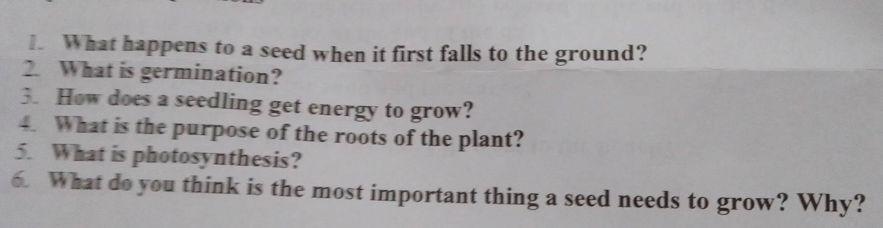 What happens to a seed when it first falls to the ground? 
2. What is germination? 
3. How does a seedling get energy to grow? 
4. What is the purpose of the roots of the plant? 
5. What is photosynthesis? 
What do you think is the most important thing a seed needs to grow? Why?