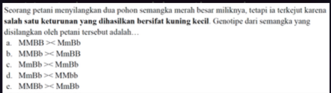 Seorang petani menyilangkan dua pohon semangka merah besar miliknya, tetapi ia terkejut karena
salah satu keturunan yang dihasilkan bersifat kuning keeil. Genotipe dari semangka yang
disilangkan oleh petani tersebut adalah…
a. MMBB>
b. MMBb>
c. MmBb>
d. MmBb>
c. MMBb>