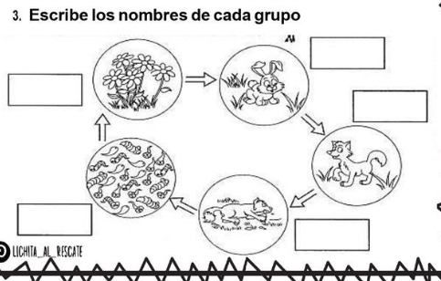 Escribe los nombres de cada grupo 
LICHITA _AL REsCATE