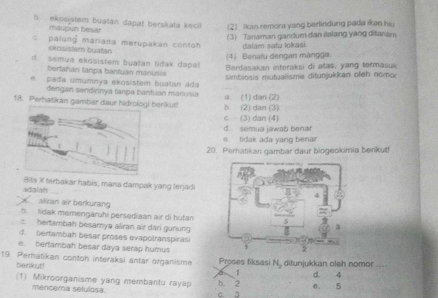 . ekosistem buatan dapat berskala kecik (2) Ikan remora yang berlindurg pada ikan hiu
maupun besar
(3) Tanaman gandum dan ilalang yang ditanam
cpalung mariana merupakan contoh
dalam satu lokasi.
ekosistem buatan
(4) Benalu dengan mangga.
d. semua ekosistem buatan tidak dapal Berdasakan interaksi di atas, yang termasuk
bertahan tanpa bantuan manusia
simbiosis mutualisme ditunjukkan oleh nomor
e. pada umumnya ekosistem buatan ada
dengan sendirinya tanpa bantuan manusia a. (1) dan (2)
18. Perhatikan gambar daur hidrologi berikut!
b. (2) dan (3)
c. (3) dan (4)
d. semua jawab benar
e. tidak ada yang benar
20. Perhatikan gambar daur biogeokimia berikut!
Bila X terbakar habis, mana dampak yang terjadi
adalah
aliran air berkurang
be tidak memengaruhi persediaan air di hutan
c. hertambah besamya aliran air dari gunung
d. bertambah besar proses evapotranspirasi
e bertambah besar daya serap humus
19. Perhatikan contoh interaksi antar organisme Proses fiksasi N_2 ditunjukkan oleh nomor ....
berikut!
a 1
d. 4
(1) Mikroorganisme yang membantu rayap b. 2
mencema selulosa. e. 5
c. 3