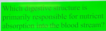 Which digestive structure is 
primarily responsible for nutrient 
absorption into the blood stream?