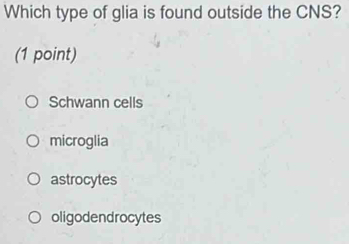 Which type of glia is found outside the CNS?
(1 point)
Schwann cells
microglia
astrocytes
oligodendrocytes