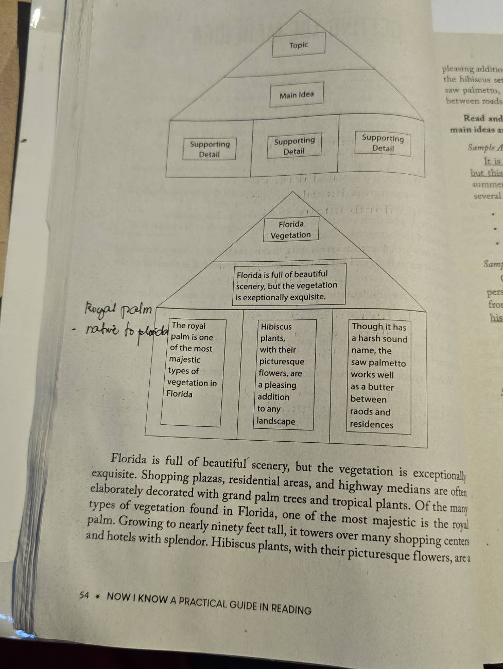 leasing additio 
the hibiscus se 
saw palmetto, 
between roads 
Read and 
main ideas a 
Sample A 
It is 
but this 
summe 
several 
Florida 
Vegetation 
Samp 
Florida is full of beautiful 
scenery, but the vegetation 
is exeptionally exquisite. pers 
fro1 
his 
The royal Hibiscus Though it has 
palm is one plants, a harsh sound 
of the most with their name, the 
majestic picturesque saw palmetto 
types of flowers, are works well 
vegetation in a pleasing as a butter 
Florida addition between 
to any raods and 
landscape residences 
Florida is full of beautiful scenery, but the vegetation is exceptionally 
exquisite. Shopping plazas, residential areas, and highway medians are often 
elaborately decorated with grand palm trees and tropical plants. Of the many 
types of vegetation found in Florida, one of the most majestic is the royal 
palm. Growing to nearly ninety feet tall, it towers over many shopping centers 
and hotels with splendor. Hibiscus plants, with their picturesque flowers, are a
54 * NOW I KNOW A PRACTICAL GUIDE IN READING