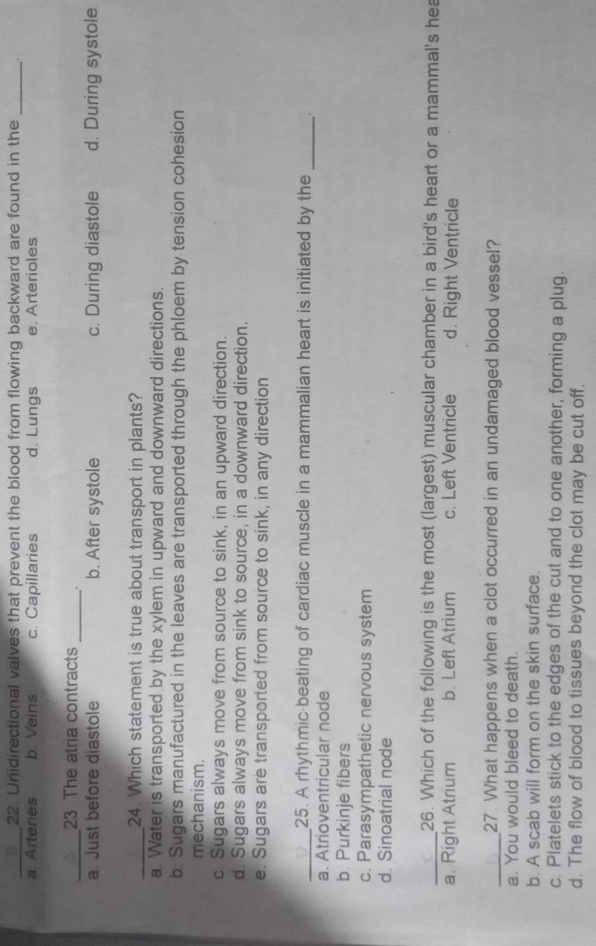 Unidirectional valves that prevent the blood from flowing backward are found in the _、.
a Arteries b. Veins c. Capillaries d. Lungs e. Arterioles
_23. The atria contracts _.
a. Just before diastole b. After systole c. During diastole d. During systole
_24. Which statement is true about transport in plants?
a. Water is transported by the xylem in upward and downward directions.
b. Sugars manufactured in the leaves are transported through the phloem by tension cohesion
mechanism.
c. Sugars always move from source to sink, in an upward direction.
d. Sugars always move from sink to source, in a downward direction.
e. Sugars are transported from source to sink, in any direction
_25. A rhythmic beating of cardiac muscle in a mammalian heart is initiated by the _.
a. Atrioventricular node
b. Purkinje fibers
c. Parasympathetic nervous system
d. Sinoatrial node
_26. Which of the following is the most (largest) muscular chamber in a bird's heart or a mammal's hea
a. Right Atrium b. Left Atrium c. Left Ventricle d. Right Ventricle
_27. What happens when a clot occurred in an undamaged blood vessel?
a. You would bleed to death.
b. A scab will form on the skin surface.
c. Platelets stick to the edges of the cut and to one another, forming a plug.
d. The flow of blood to tissues beyond the clot may be cut off.