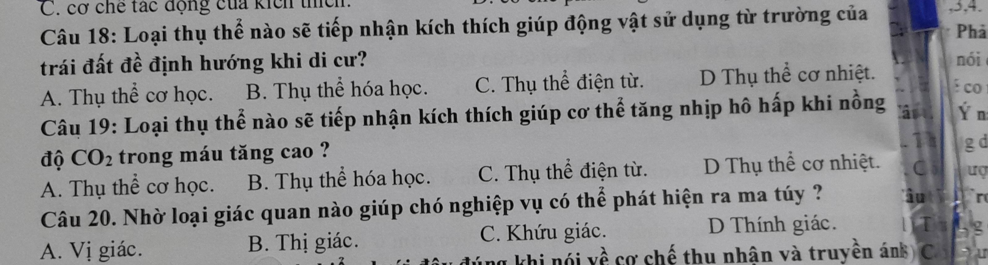 cơ chế tác động của kích thích:
Câu 18: Loại thụ thể nào sẽ tiếp nhận kích thích giúp động vật sử dụng từ trường của
, 3, 4.
Phả
trái đất đề định hướng khi di cư? nói
A. Thụ thể cơ học. B. Thụ thể hóa học. C. Thụ thể điện từ. D Thụ thể cơ nhiệt.
: co
Câu 19: Loại thụ thể nào sẽ tiếp nhận kích thích giúp cơ thể tăng nhịp hô hấp khi nồng as Ý n
1
độ CO_2 trong máu tăng cao ? g d
A. Thụ thể cơ học. B. Thụ thể hóa học. C. Thụ thể điện từ. D Thụ thể cơ nhiệt. C
ượ
Câu 20. Nhờ loại giác quan nào giúp chó nghiệp vụ có thể phát hiện ra ma túy ?
Âu r
C. Khứu giác. D Thính giác. l T
A. Vị giác. B. Thị giác.
g khi nói về cơ chế thu nhân và truyền ánh C