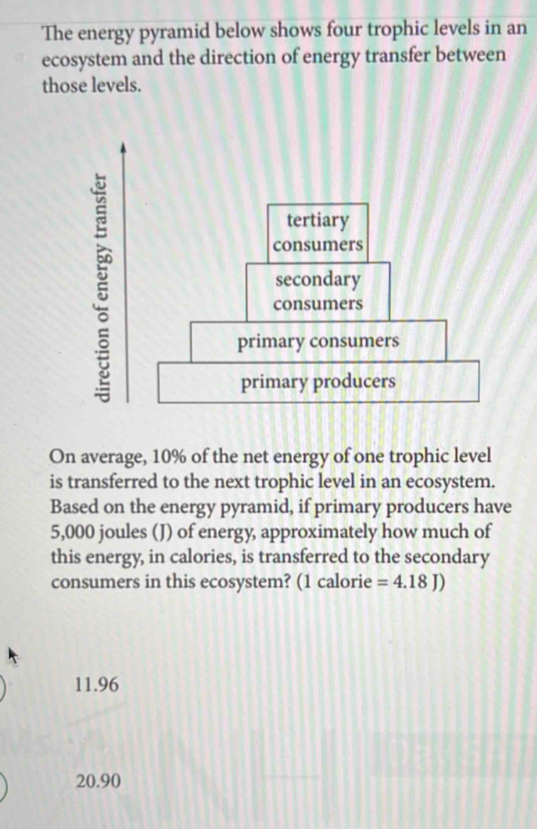 The energy pyramid below shows four trophic levels in an
ecosystem and the direction of energy transfer between
those levels.
ξ
On average, 10% of the net energy of one trophic level
is transferred to the next trophic level in an ecosystem.
Based on the energy pyramid, if primary producers have
5,000 joules (J) of energy approximately how much of
this energy, in calories, is transferred to the secondary
consumers in this ecosystem? (1 calorie =4.18J)
11.96
20.90