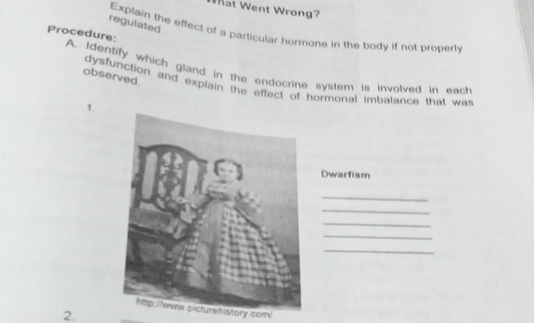 What Went Wrong? 
regulated 
Explain the effect of a particular hormone in the body if not properly 
Procedure: 
A. Identify which gland in the endocrine system is involved in each 
observed. 
dysfunction and explain the effect of hormonal imbalance that was 
1. 
Dwarfism 
_ 
_ 
_ 
_ 
_ 
history.com/ 
2.