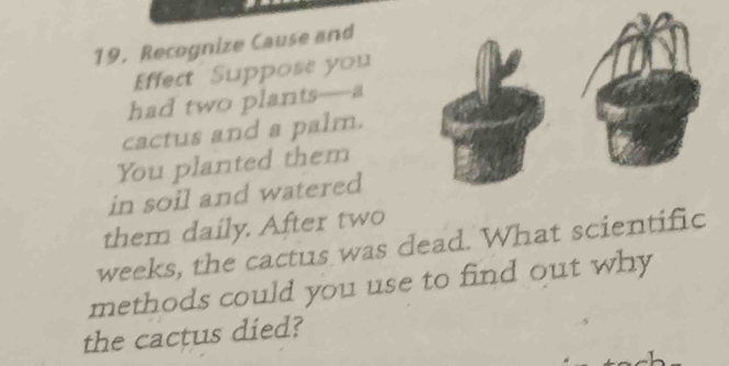 19, Recognize Cause and 
Effect Suppose you 
had two plants—a 
cactus and a palm. 
You planted them 
in soil and watered 
them daily. After two
weeks, the cactus was dead. What scientific 
methods could you use to find out why 
the cactus died?