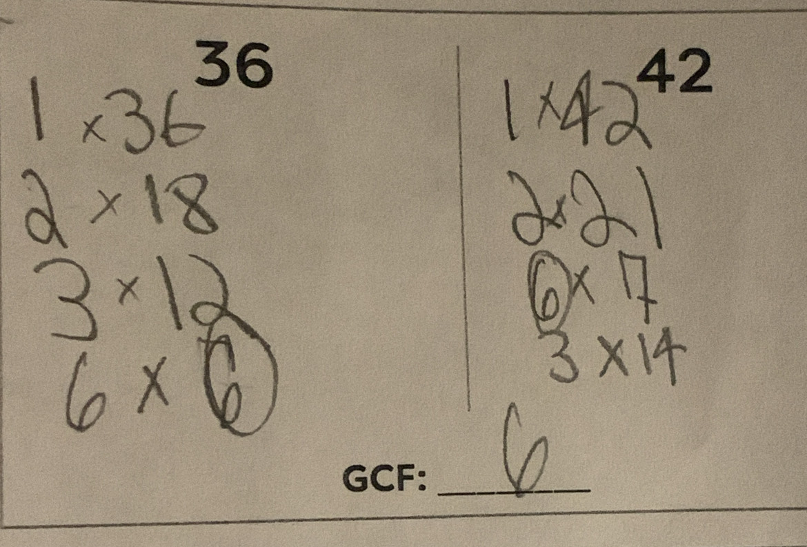 a 2=2= 
GCF:_